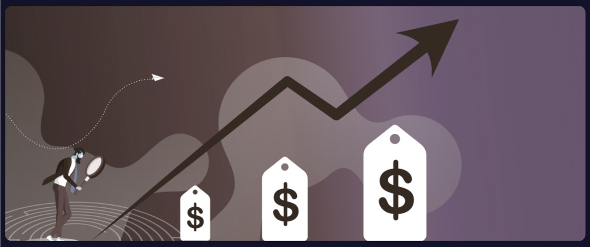 Optimizing-Pricing-Through-Product-Variants