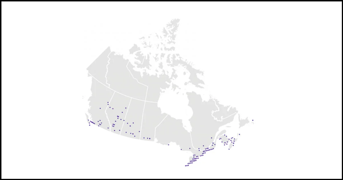 Burger-King-Outlets-Across-Canada