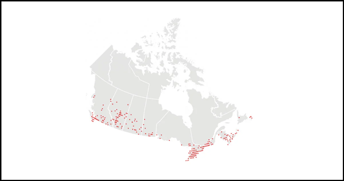 Dairy-Queen-Outlets-Across-Canada