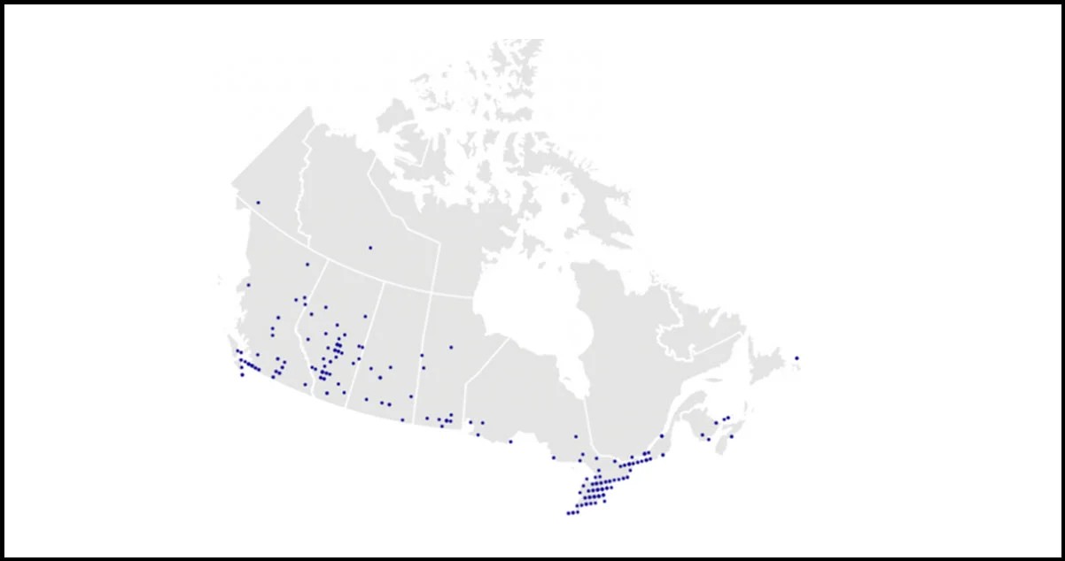 Dominos-Pizza-Outlets-Across-Canada