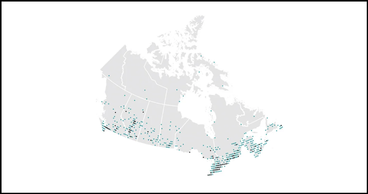 Locations-of-Tim-Hortons-Across-Canada