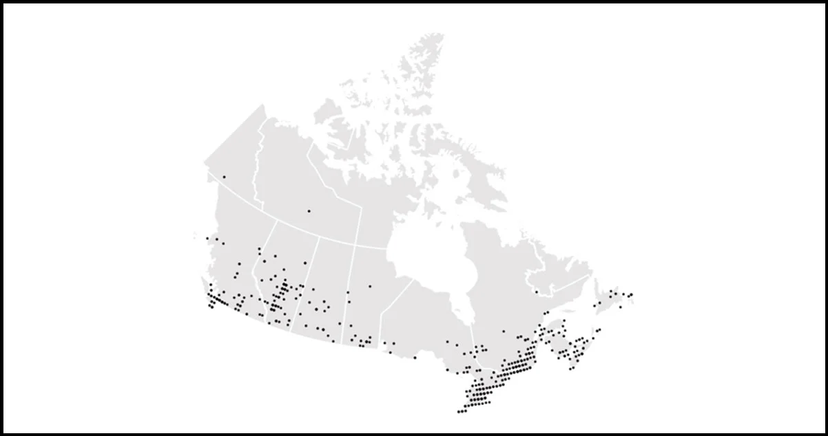 McDonalds-Outlets-Across-Canada