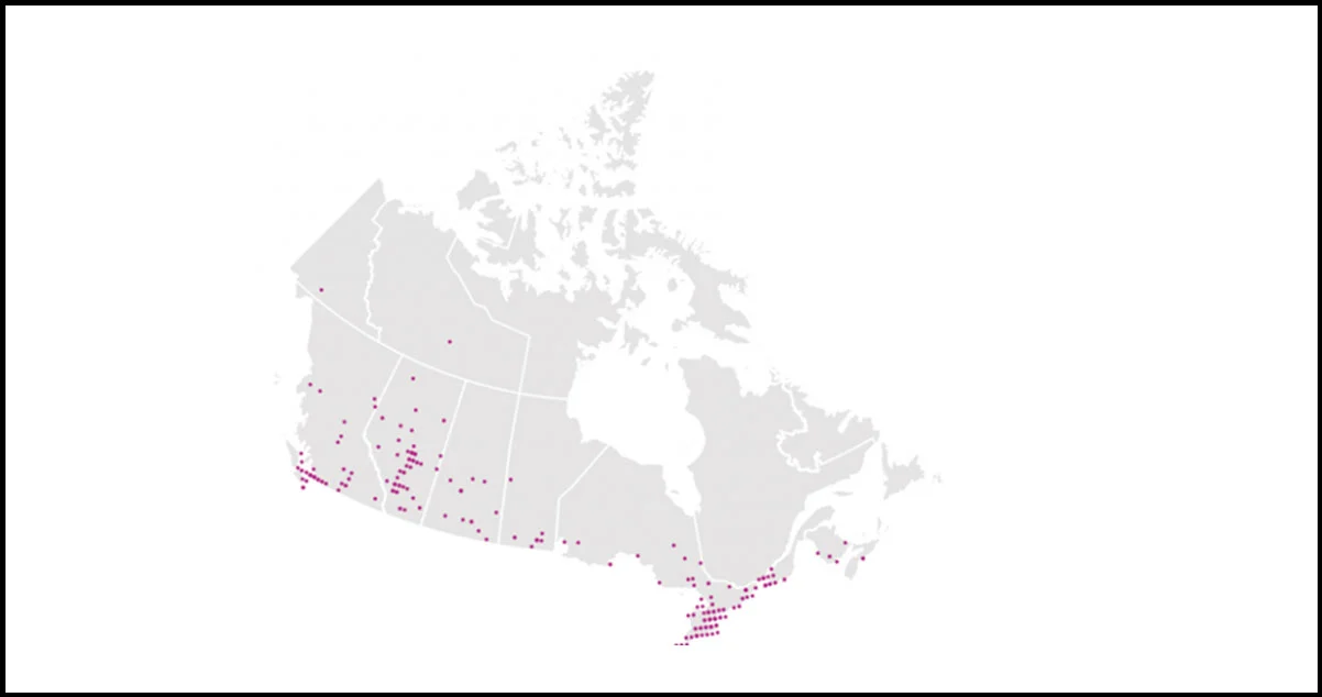 Pizza-Hut-Outlets-Across-Canada