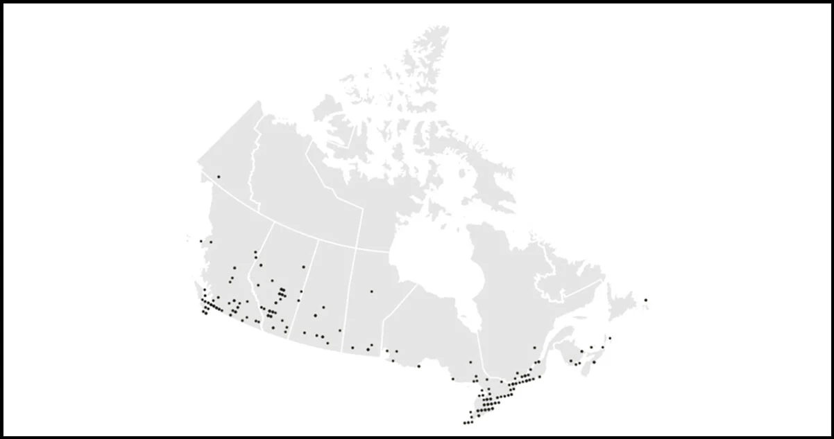 Starbucks-Stores-Across-Canada
