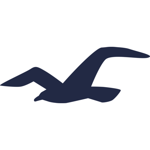 Hollister_USA